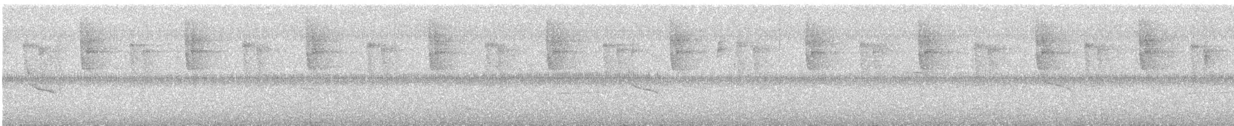 Great-tailed Grackle - ML645967243