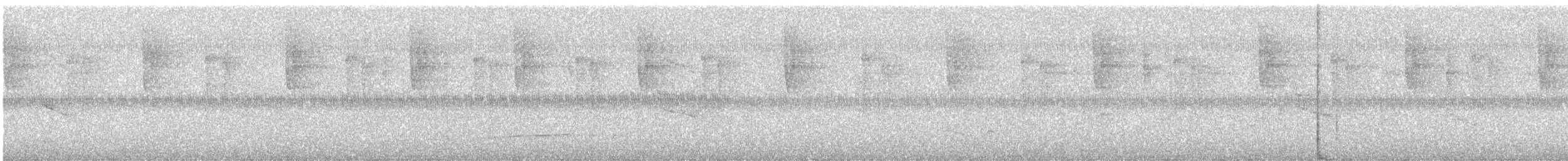 Great-tailed Grackle - ML645967244