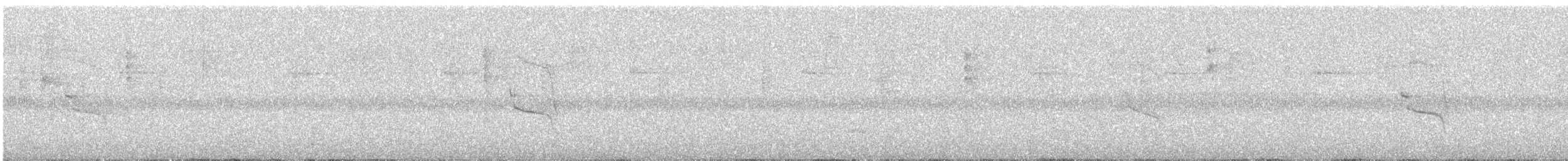 Great-tailed Grackle - ML645967245