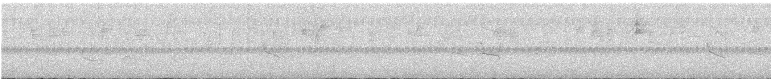 Great-tailed Grackle - ML645967246