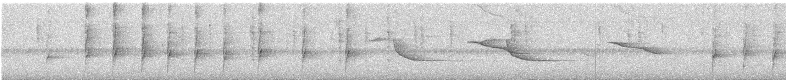 Great-tailed Grackle - ML645967247