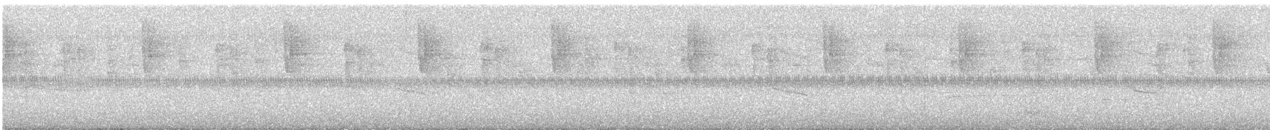 Great-tailed Grackle - ML645967248