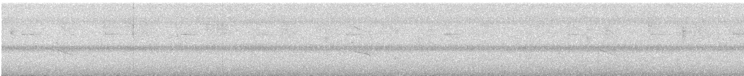 Great-tailed Grackle - ML645967249