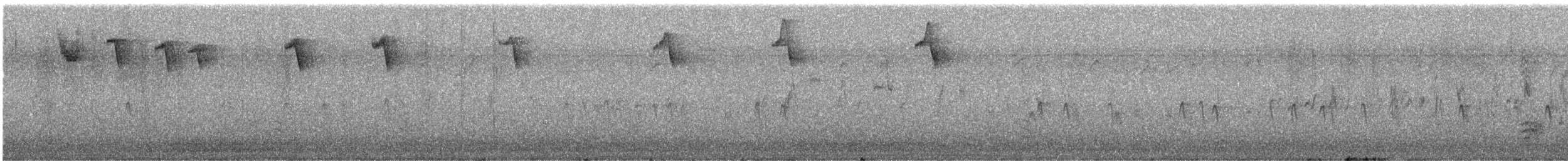 Red Crossbill - ML645967426