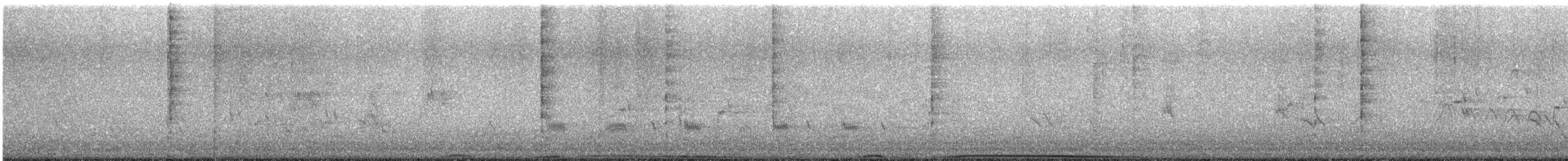 Torresian Imperial-Pigeon - ML645967727