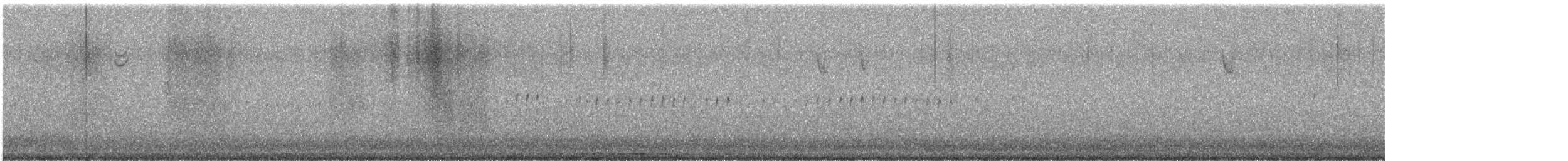 American Woodcock - ML645968358