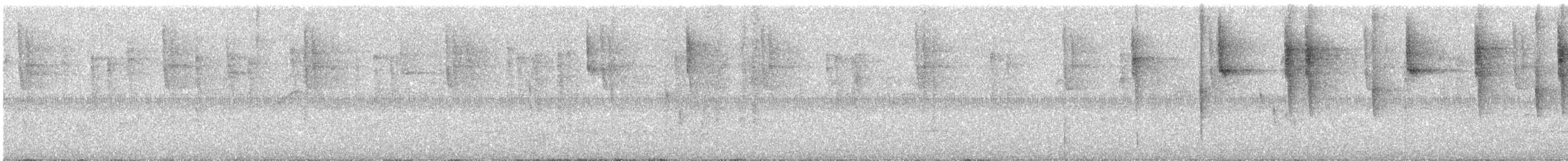 Colibri thalassin - ML645968499