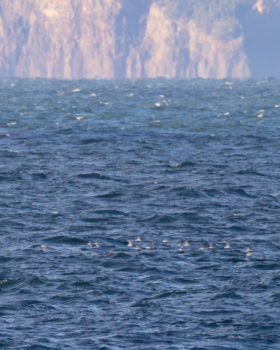 Моевка - ML645968908