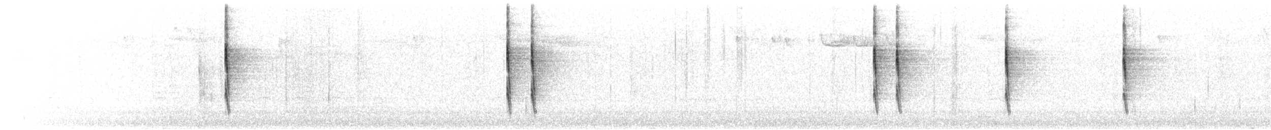 Pacific Wren - ML645969264