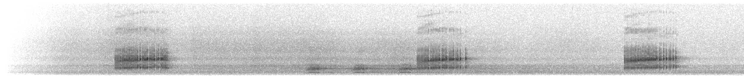 Pacific chorus frog - ML645969327