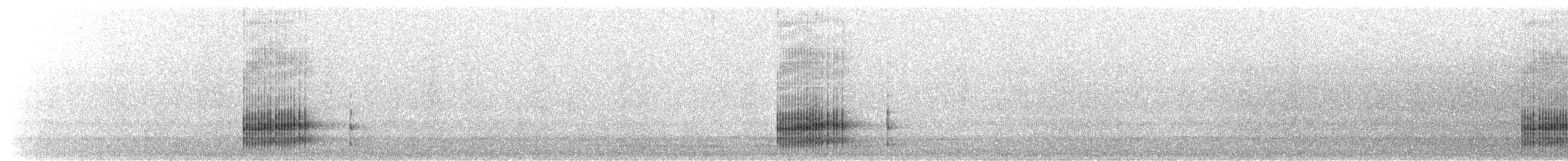 Pacific chorus frog - ML645969328