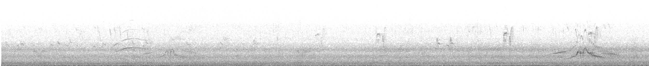 Andean Duck - ML645969349