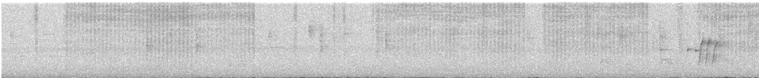 Cabanis's Wren - ML645970281