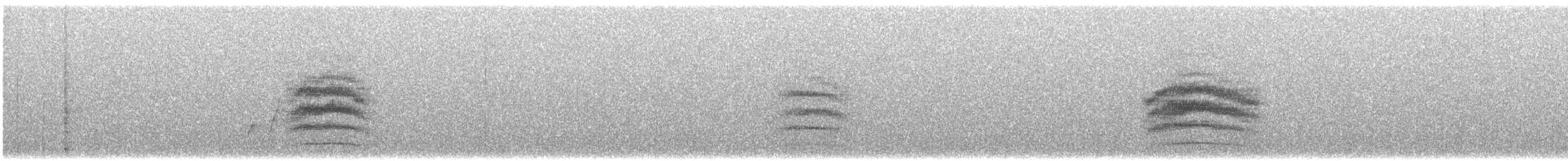 Spotted Towhee - ML645970478