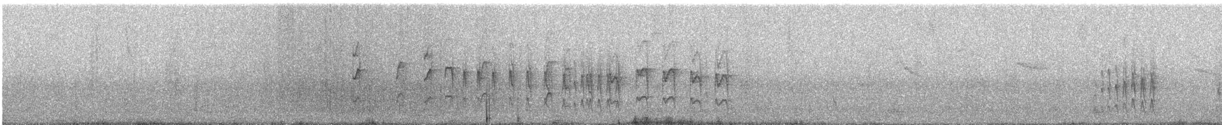 Pied-crested Tit-Tyrant - ML645970518