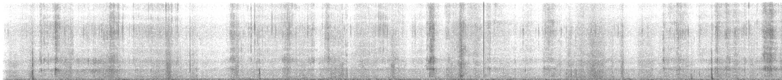 葡萄胸鴨 - ML645970528