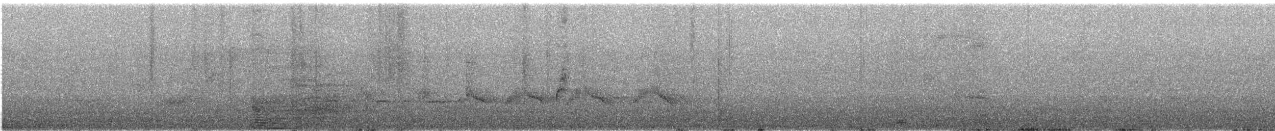 Горобцеподібні sp. - ML645970598