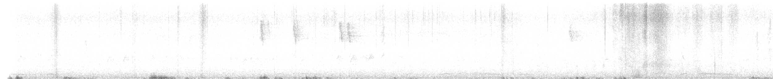 大卷尾 - ML645970617