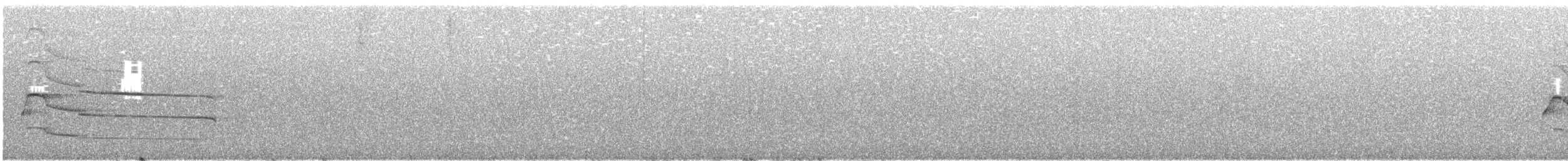 Gray Hawk - ML645970813