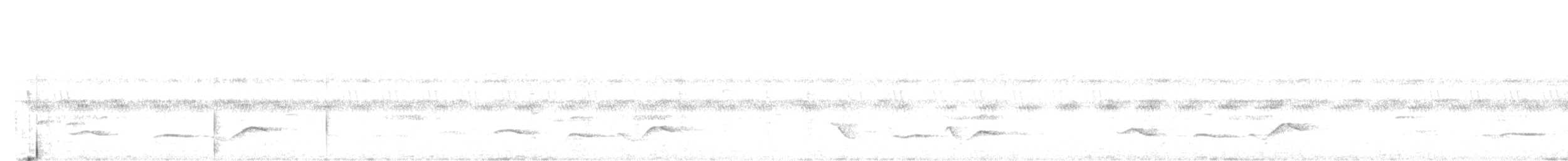 Abbott's Babbler - ML645970874