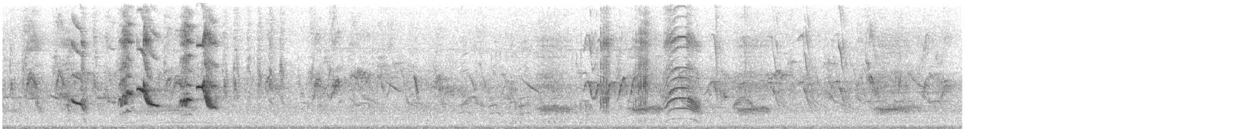 Maina comune - ML645970972