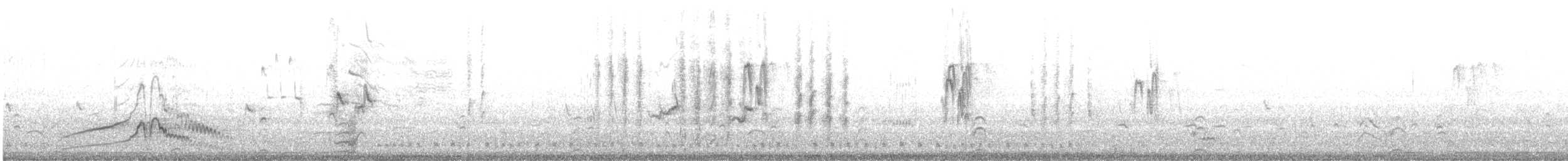 Alzavola argentata - ML645970982