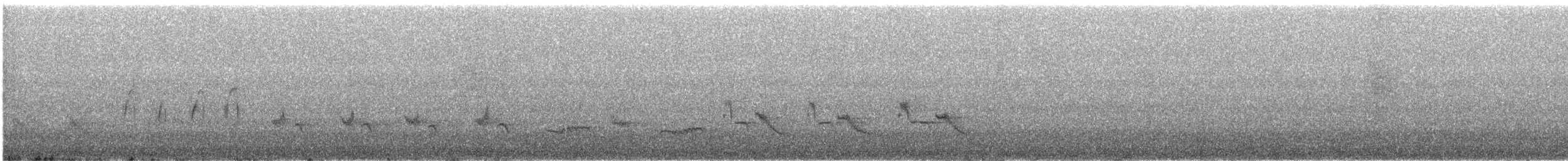 Chinese Hwamei - ML645971003