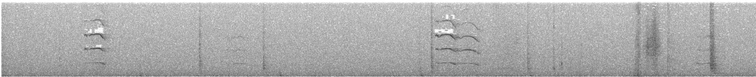 Gufo comune - ML645971136