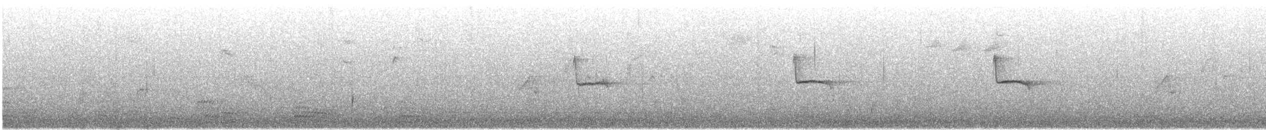 Cincia mora - ML645971153