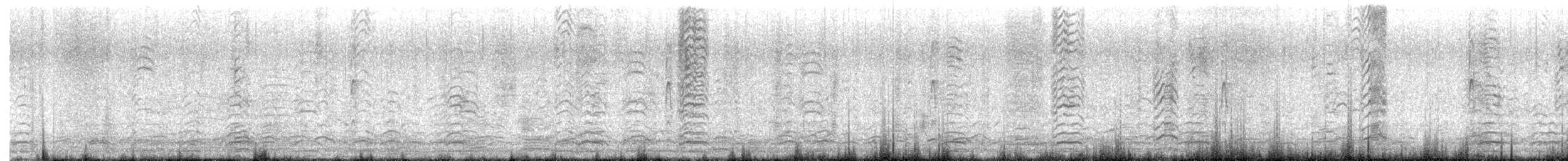 Oca delle nevi - ML645971381