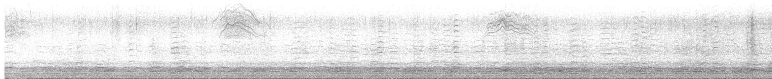 Oca canadese maggiore - ML645971563