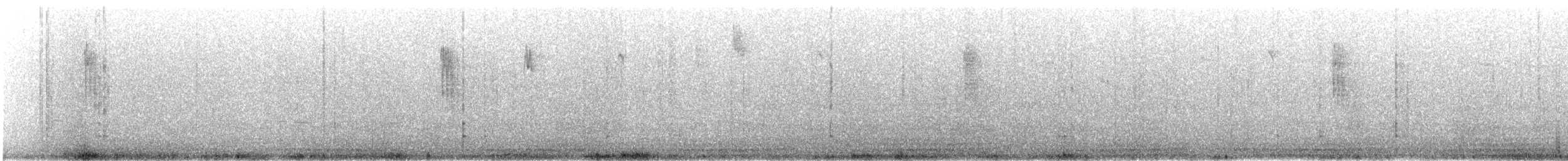 Codibugnolo - ML645971618