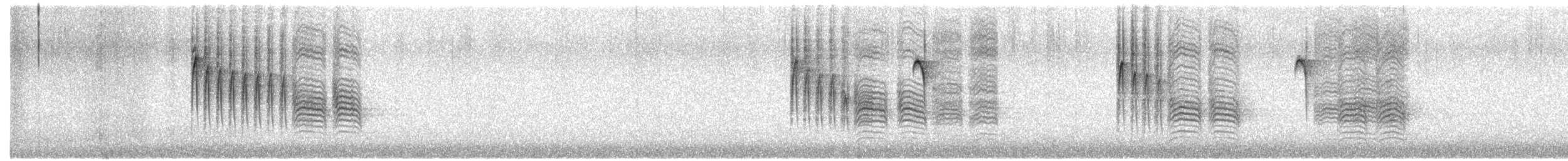 Black-capped Chickadee - ML645971702