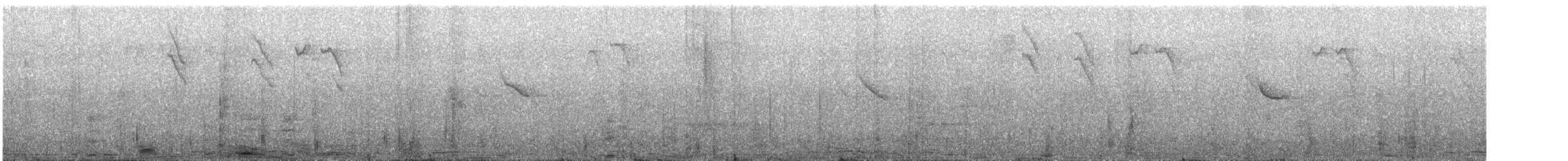 Coal Tit (Continental) - ML645972035