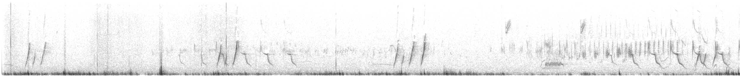 Curve-billed Thrasher - ML645972204