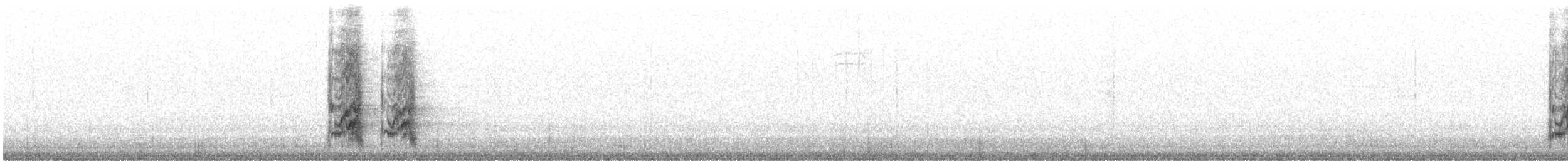 Woodhouse's Scrub-Jay (Woodhouse's) - ML645972273