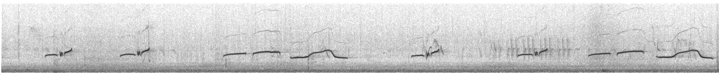 Greater Pewee - ML645972320