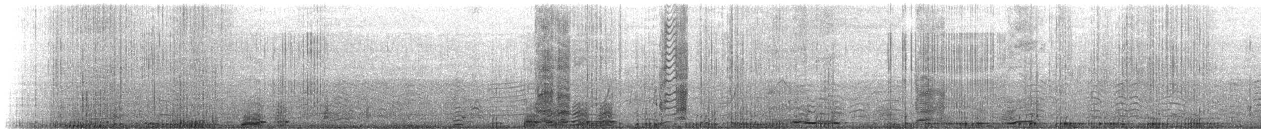 Southern Elephant Seal - ML645972402