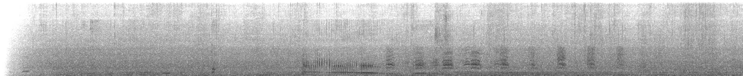 Southern Elephant Seal - ML645972403