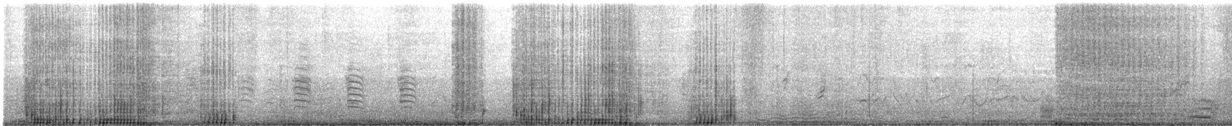 Southern Elephant Seal - ML645972404