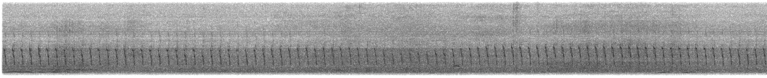 White-chinned Petrel - ML645972408