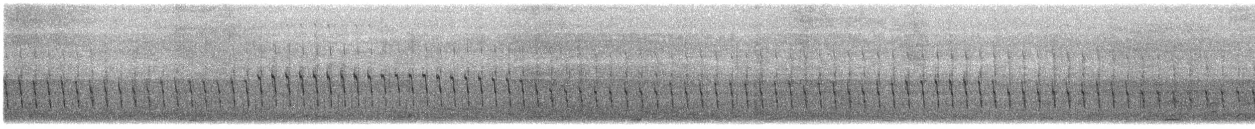 White-chinned Petrel - ML645972409