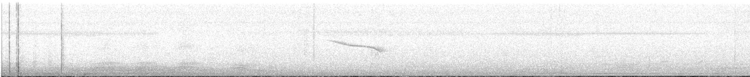 White-browed Fantail - ML645972734