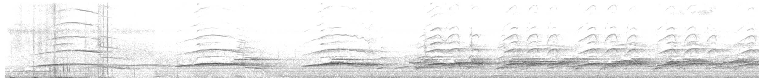 Langschwanztriel - ML645972939