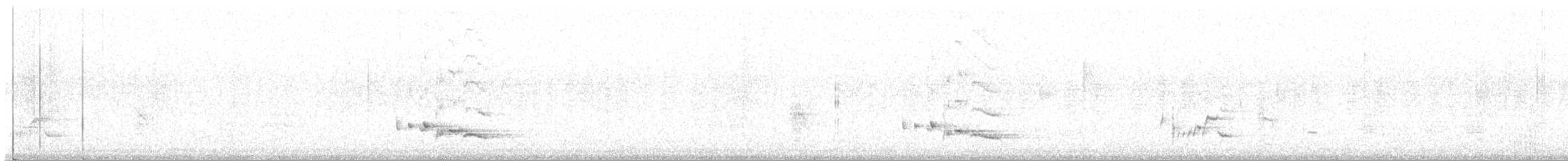 Weißbauch-Zaunkönig - ML645972943