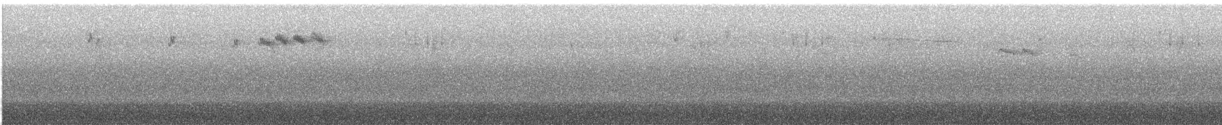 passerine sp. - ML645973749