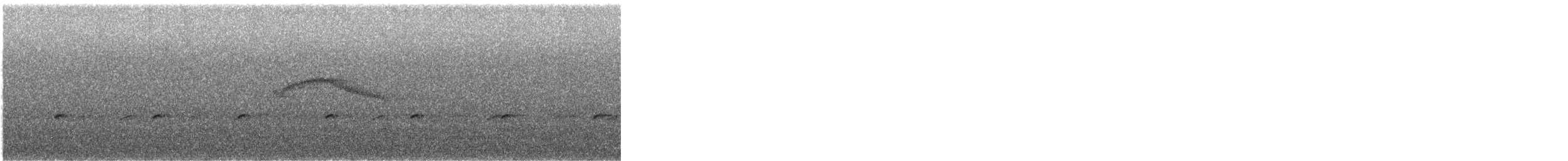 Chestnut-bellied Chat-Tyrant - ML645973947