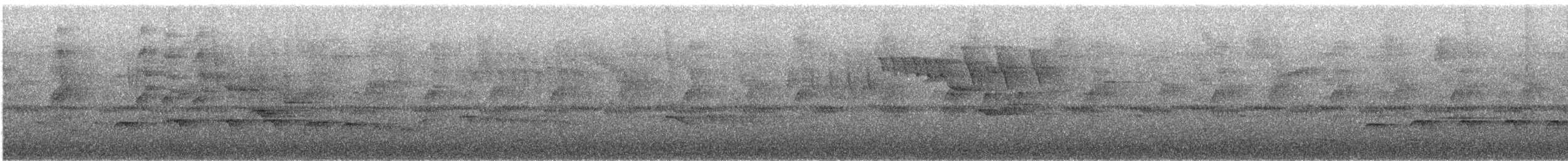 Parker's Antbird - ML645974477