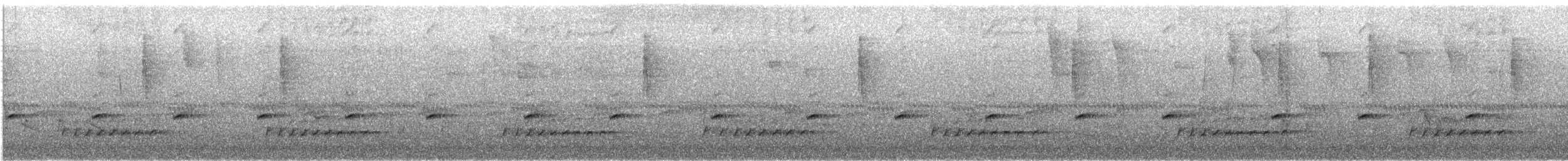 White-crowned Tapaculo - ML645974551