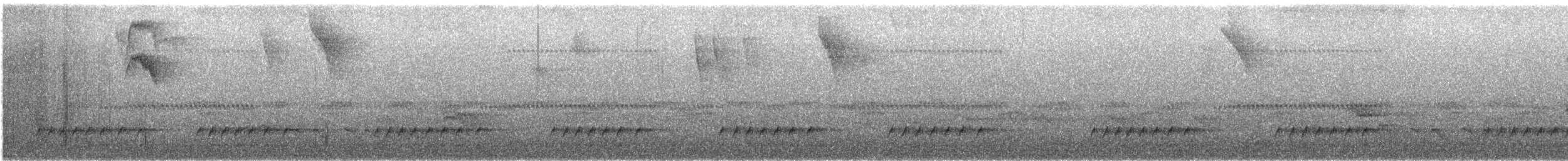 White-crowned Tapaculo - ML645974552